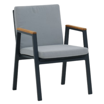 Golf Chair